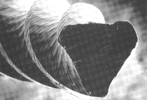 Corte transversal da lima ProFile