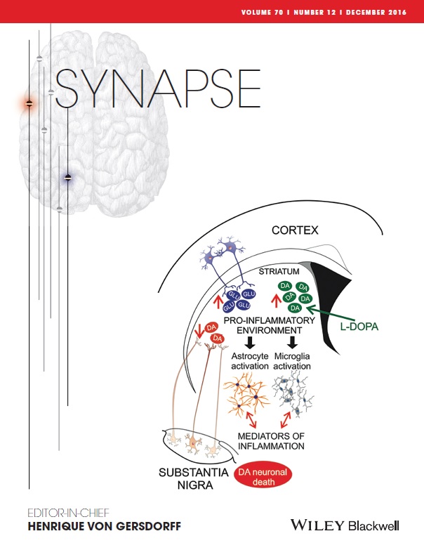 capa_synapse